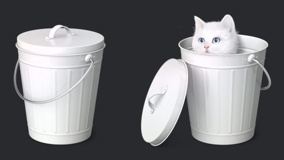 > which cat