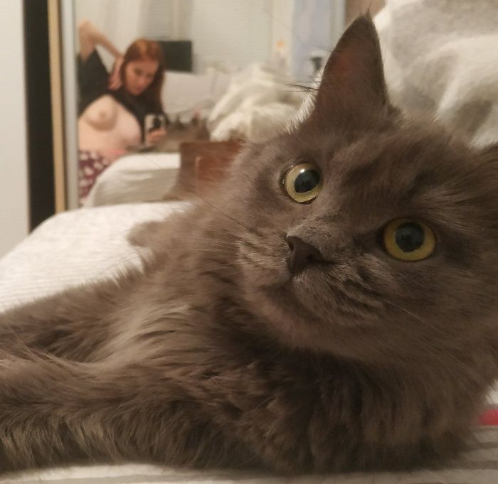 Are you looking at the cat?