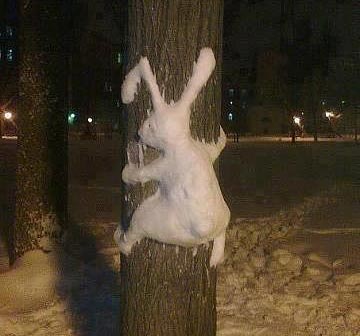 Snow rabbit